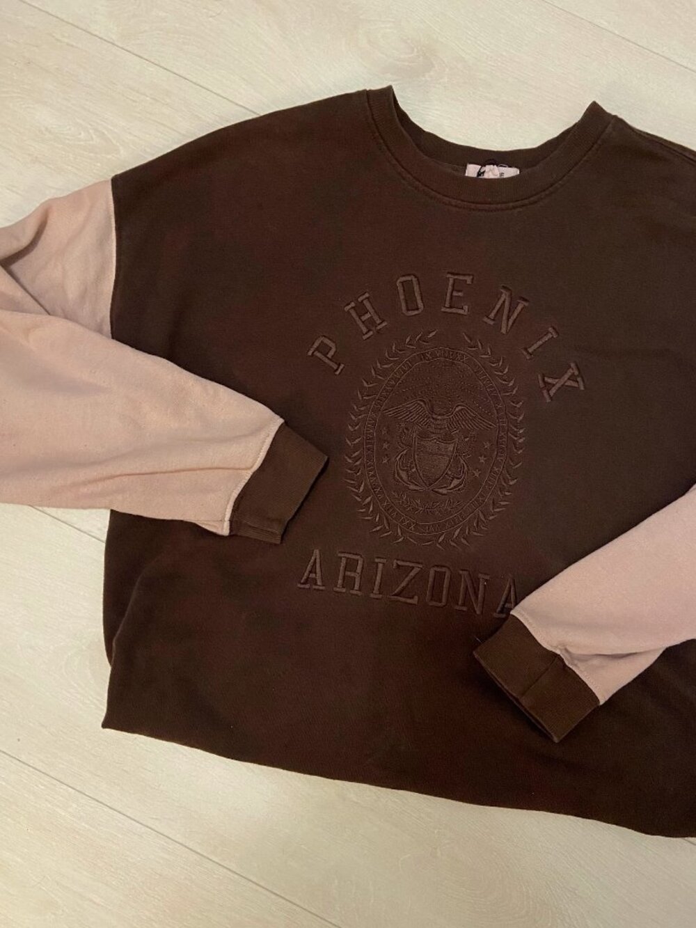 Pheonix Arizona Brown 2000's Hollister Sweater